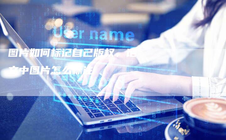 图片如何标记自己版权，论文中图片怎么标注