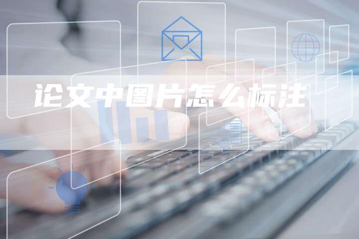 论文中图片怎么标注