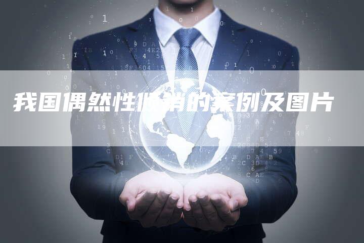 我国偶然性倾销的案例及图片