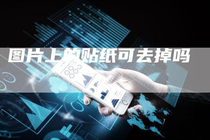 图片上的贴纸可去掉吗