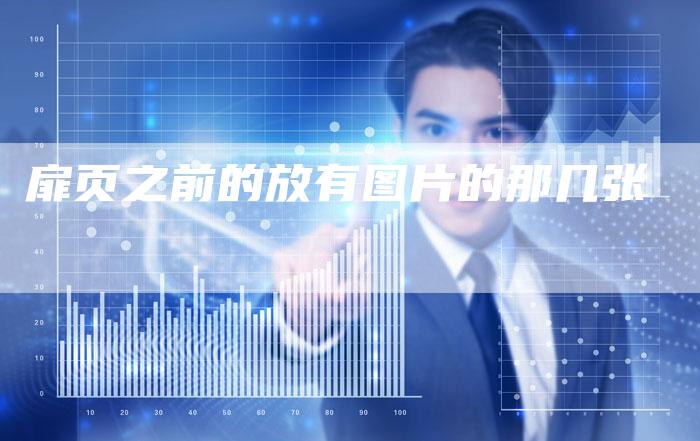 扉页之前的放有图片的那几张