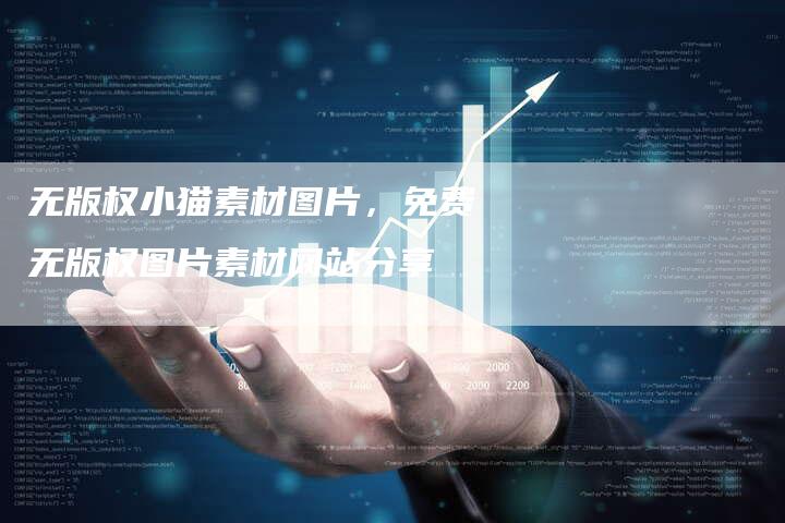 无版权小猫素材图片，免费无版权图片素材网站分享