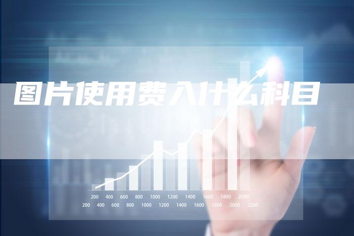 图片使用费入什么科目