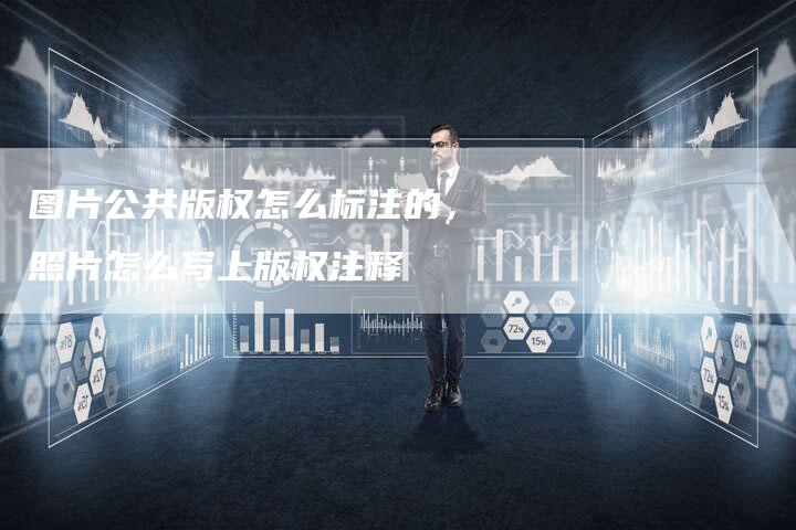 图片公共版权怎么标注的，照片怎么写上版权注释