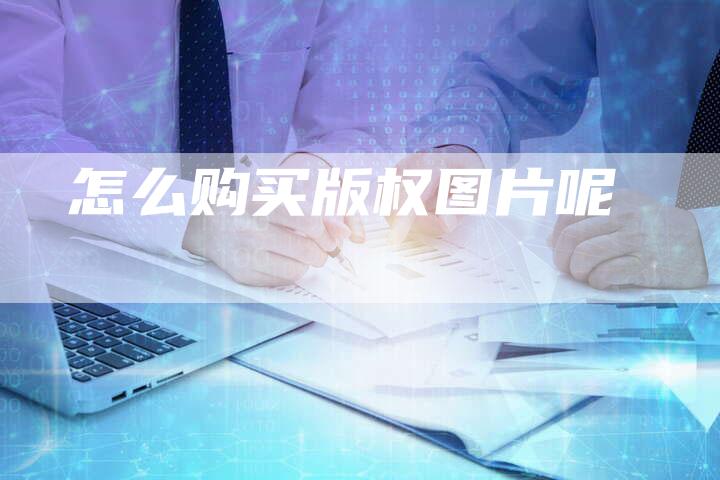 怎么购买版权图片呢