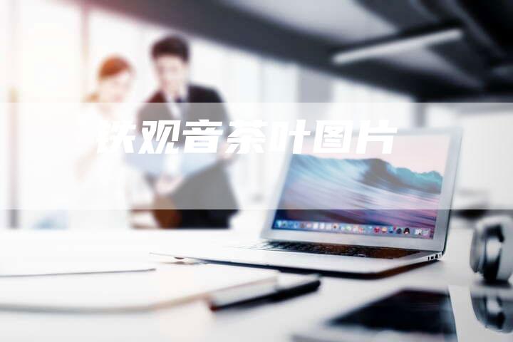 铁观音茶叶图片