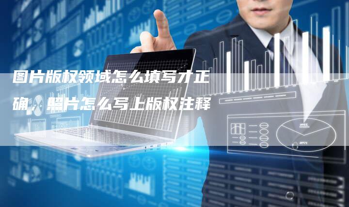 图片版权领域怎么填写才正确，照片怎么写上版权注释