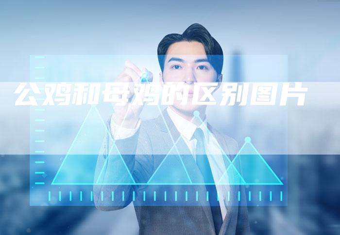 公鸡和母鸡的区别图片