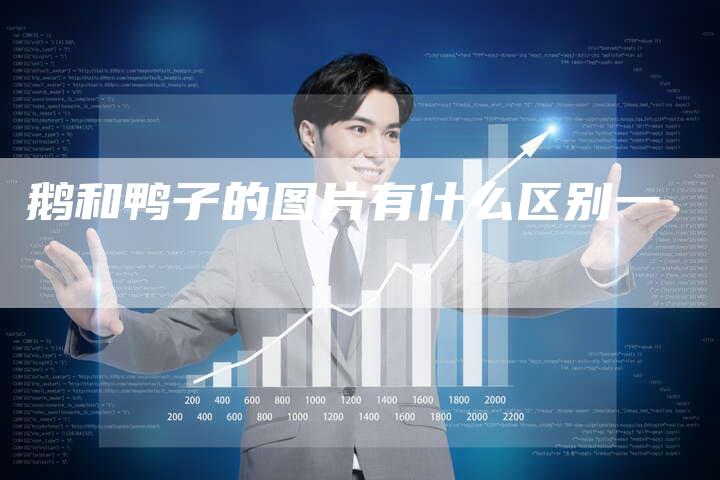 鹅和鸭子的图片有什么区别一