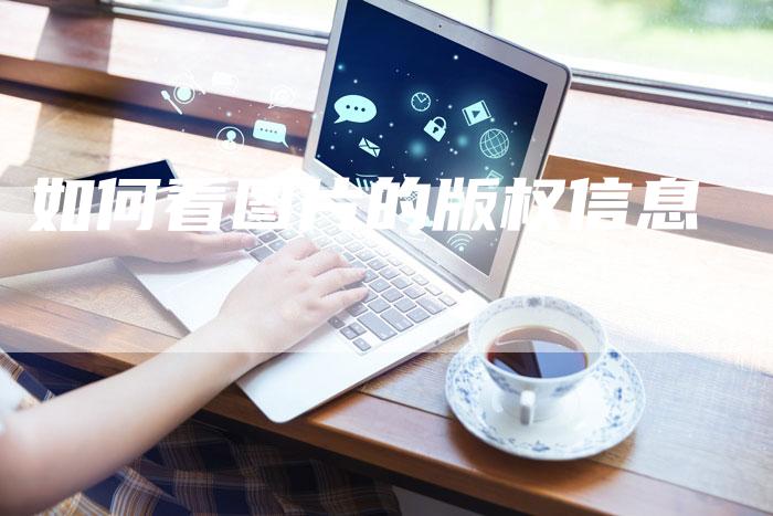 如何看图片的版权信息