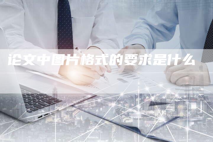 论文中图片格式的要求是什么