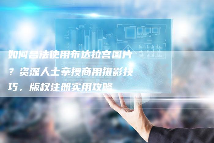 如何合法使用布达拉宫图片？资深人士亲授商用摄影技巧，版权注册实用攻略