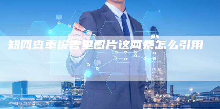 知网查重报告里图片这两条怎么引用