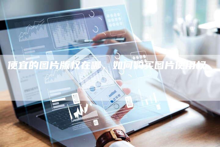 便宜的图片版权在哪，如何购买图片使用权
