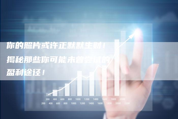 你的照片或许正默默生财！揭秘那些你可能未曾尝试的盈利途径！